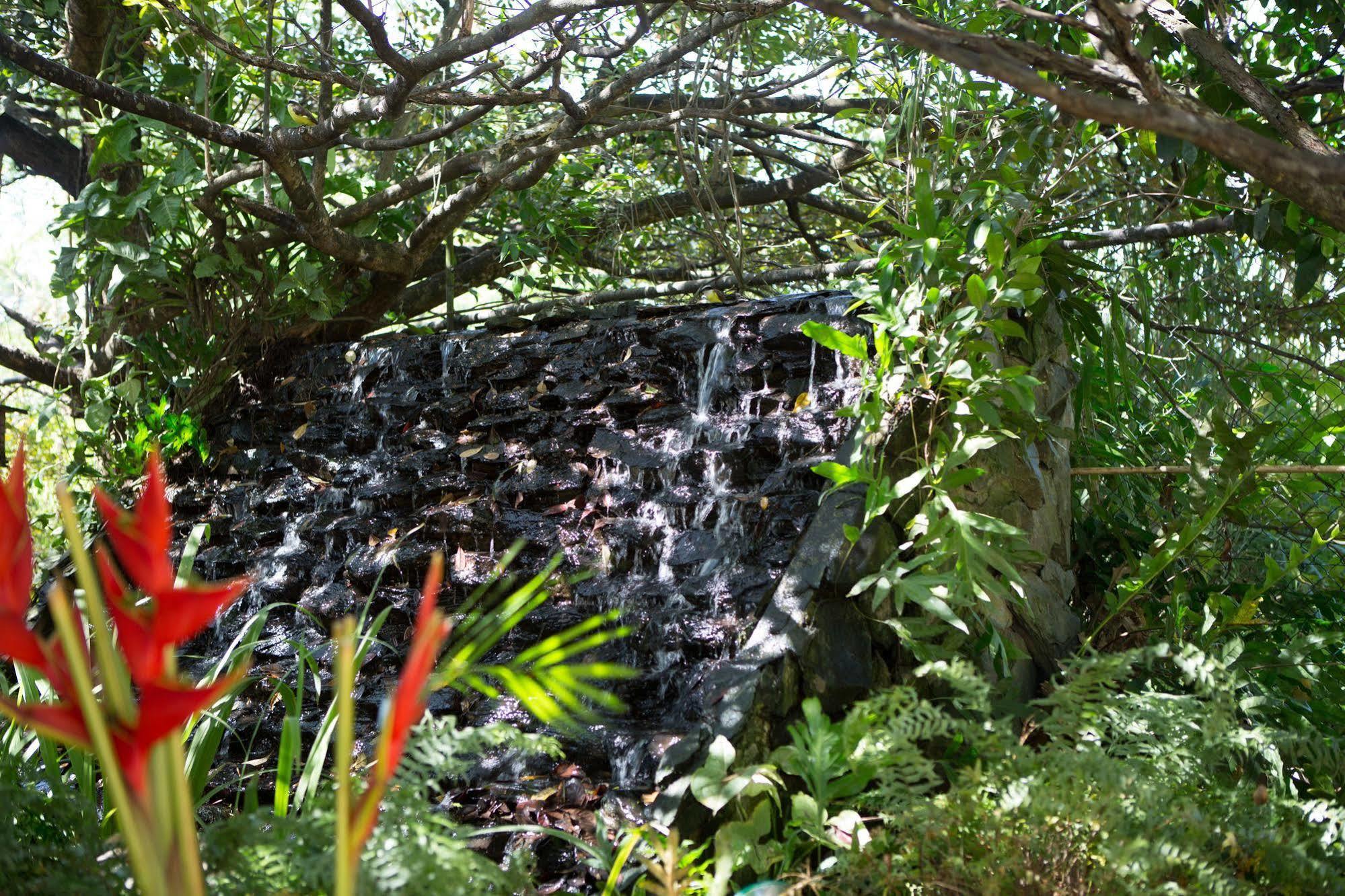Eco Torarica Hotel Paramaribo Exterior photo